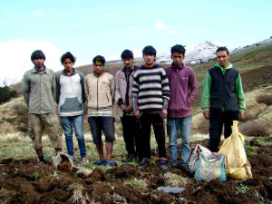 Illegal herb collection (Click to enlarge): Commercialization in the Great Himalayan National Park